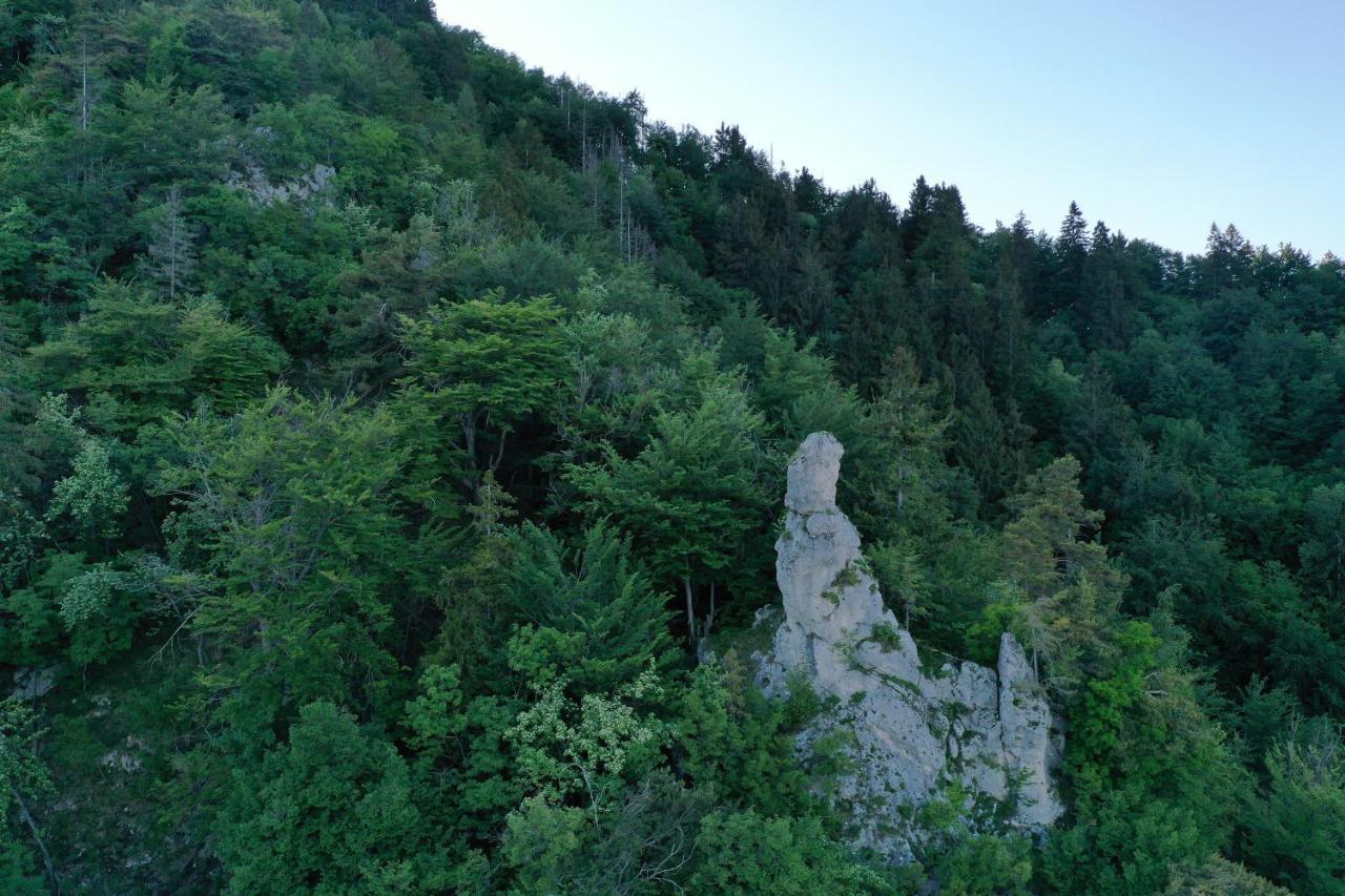 Rooms Malina Blejska Dobrava Bagian luar foto